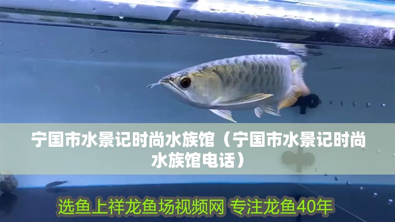 寧國市水景記時尚水族館（寧國市水景記時尚水族館電話）