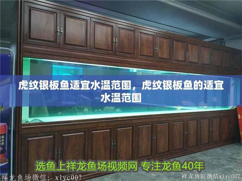 虎紋銀板魚適宜水溫范圍，虎紋銀板魚的適宜水溫范圍