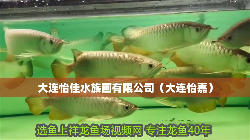 大連怡佳水族畫有限公司（大連怡嘉） 大連怡佳水族畫有限公司（大連怡嘉） 全國水族館企業名錄 第1張