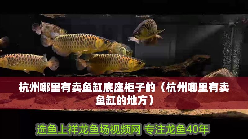 杭州哪里有賣魚缸底座柜子的（杭州哪里有賣魚缸的地方）