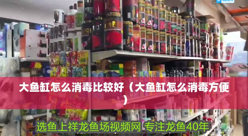 大魚缸怎么消毒比較好（大魚缸怎么消毒方便）