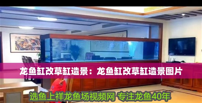 龍魚缸改草缸造景：龍魚缸改草缸造景圖片