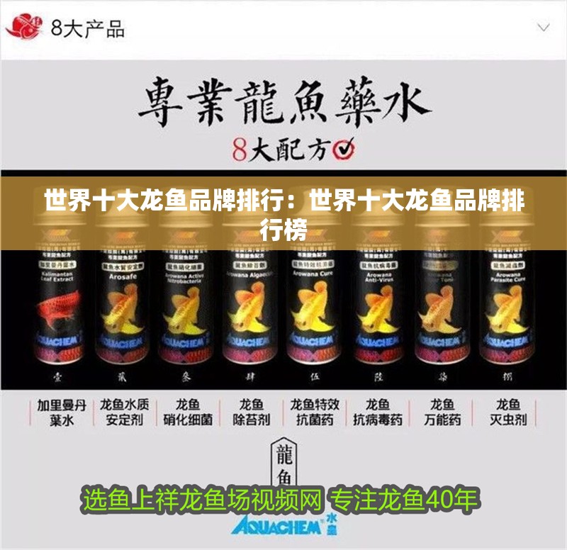 世界十大龍魚品牌排行：世界十大龍魚品牌排行榜