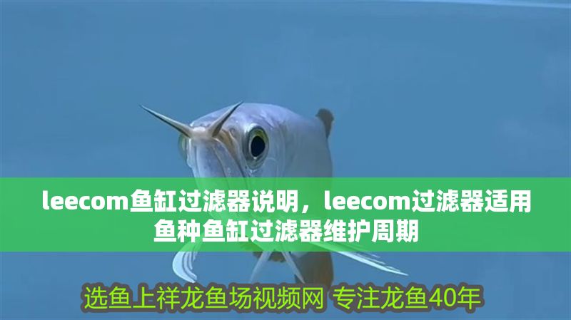 leecom魚缸過濾器說明，leecom過濾器適用魚種魚缸過濾器維護周期