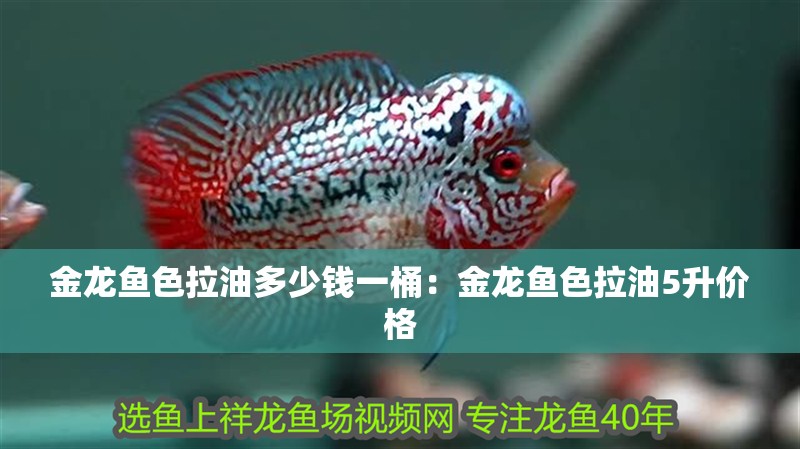 金龍魚色拉油多少錢一桶：金龍魚色拉油5升價格