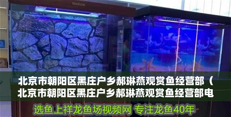 北京市朝陽(yáng)區(qū)黑莊戶鄉(xiāng)郝琳燕觀賞魚經(jīng)營(yíng)部（北京市朝陽(yáng)區(qū)黑莊戶鄉(xiāng)郝琳燕觀賞魚經(jīng)營(yíng)部電話）