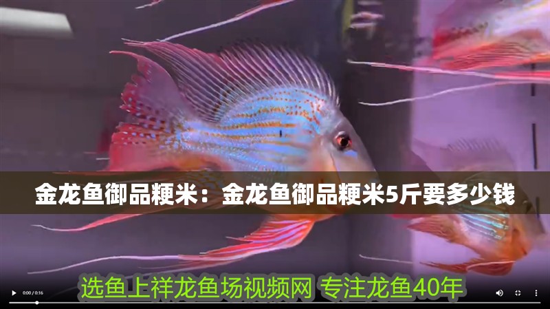 金龍魚御品粳米：金龍魚御品粳米5斤要多少錢
