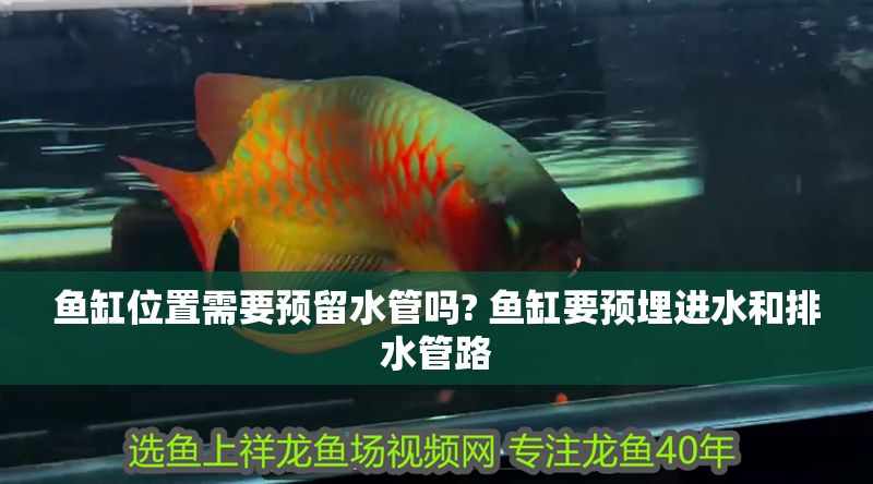 魚缸位置需要預留水管嗎? 魚缸要預埋進水和排水管路