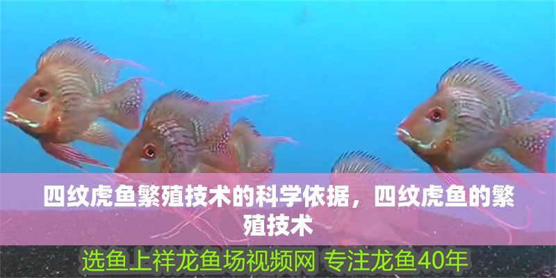 四紋虎魚繁殖技術的科學依據，四紋虎魚的繁殖技術