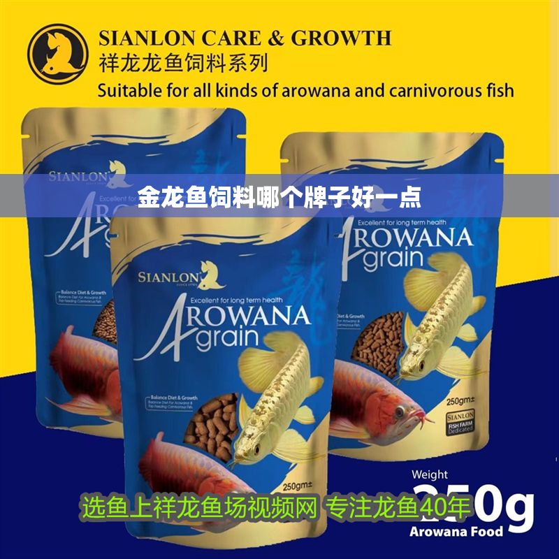金龍魚飼料哪個牌子好一點