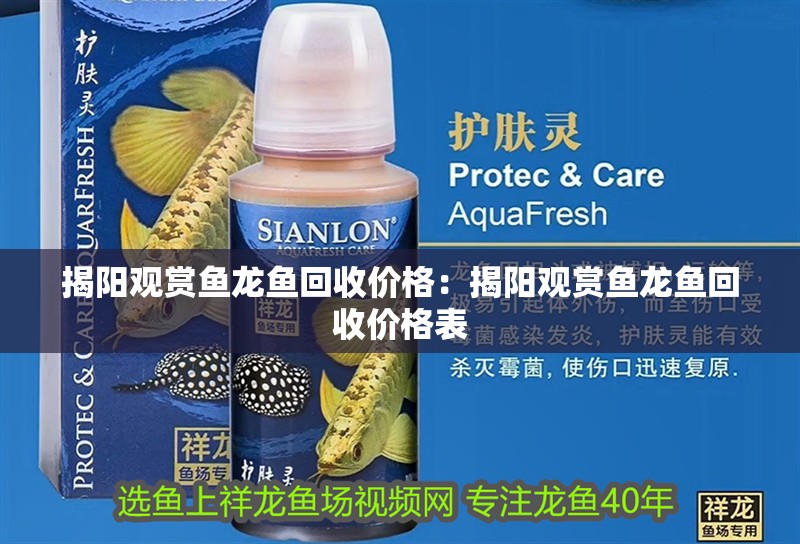 揭陽觀賞魚龍魚回收價格：揭陽觀賞魚龍魚回收價格表