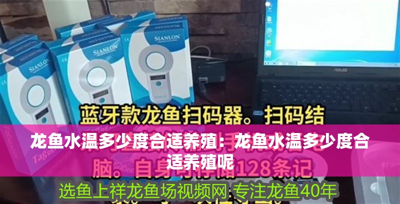 龍魚水溫多少度合適養殖：龍魚水溫多少度合適養殖呢