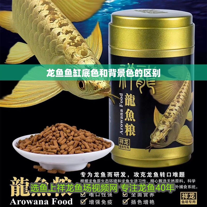 龍魚魚缸底色和背景色的區(qū)別