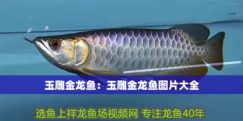 玉雕金龍魚：玉雕金龍魚圖片大全
