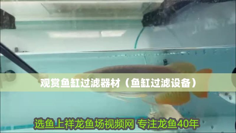 觀賞魚缸過濾器材（魚缸過濾設備）