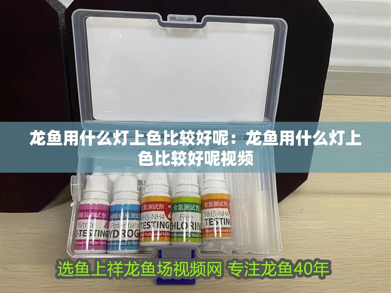 龍魚用什么燈上色比較好呢：龍魚用什么燈上色比較好呢視頻