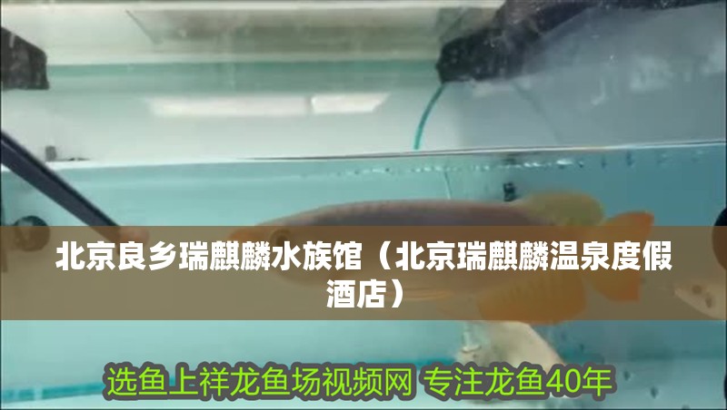 北京良鄉瑞麒麟水族館（北京瑞麒麟溫泉度假酒店）