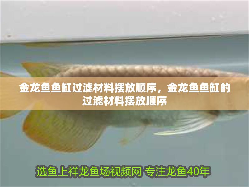 金龍魚魚缸過濾材料擺放順序，金龍魚魚缸的過濾材料擺放順序