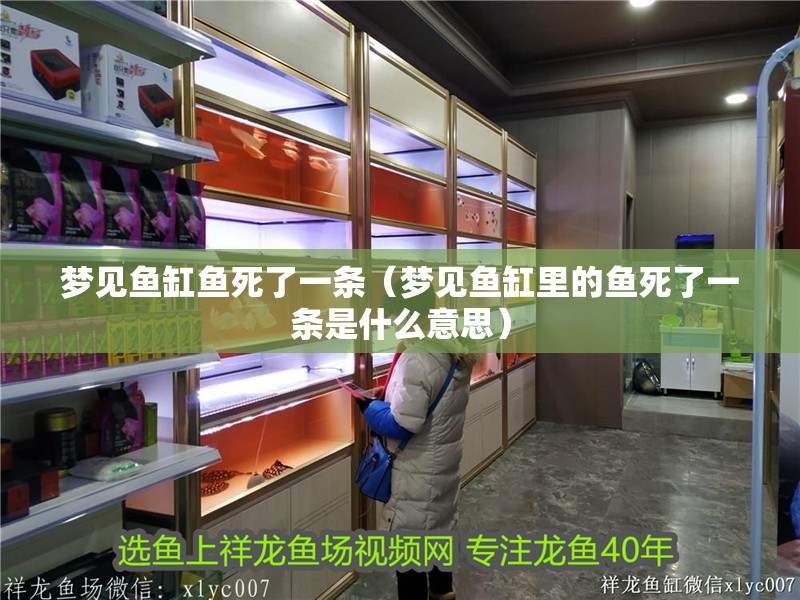 夢見魚缸魚死了一條（夢見魚缸里的魚死了一條是什么意思）