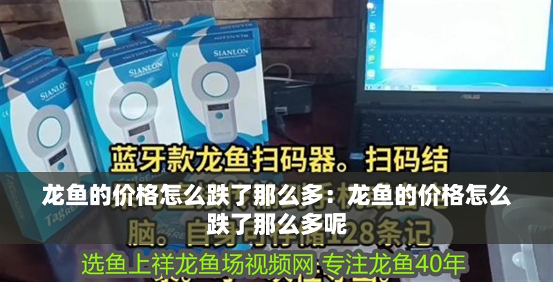 龍魚的價格怎么跌了那么多：龍魚的價格怎么跌了那么多呢