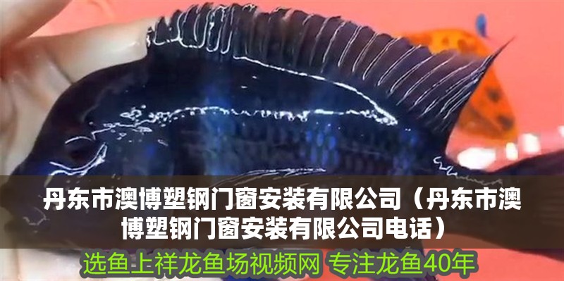 丹東市澳博塑鋼門窗安裝有限公司（丹東市澳博塑鋼門窗安裝有限公司電話）