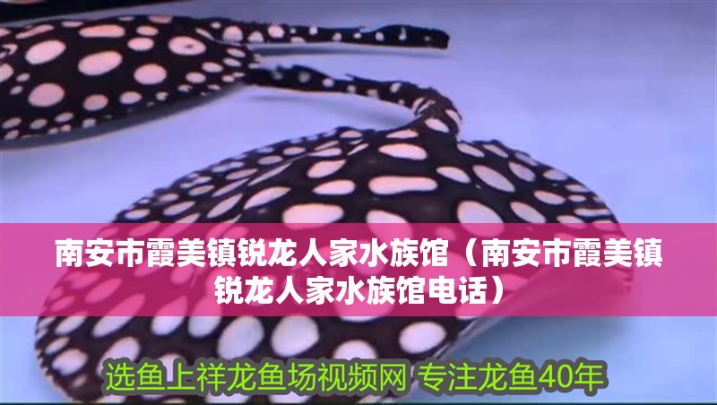 南安市霞美鎮銳龍人家水族館（南安市霞美鎮銳龍人家水族館電話）