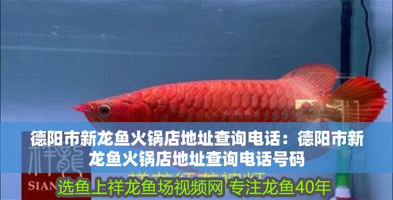 德陽(yáng)市新龍魚(yú)火鍋店地址查詢電話：德陽(yáng)市新龍魚(yú)火鍋店地址查詢電話號(hào)碼