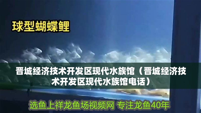 晉城經濟技術開發區現代水族館（晉城經濟技術開發區現代水族館電話）