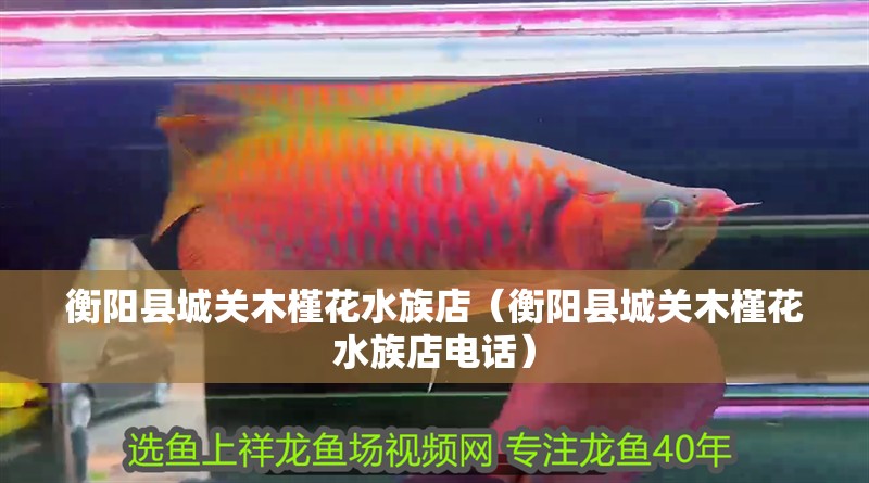 衡陽縣城關木槿花水族店（衡陽縣城關木槿花水族店電話） 衡陽縣城關木槿花水族店（衡陽縣城關木槿花水族店電話） 全國水族館企業名錄 第1張