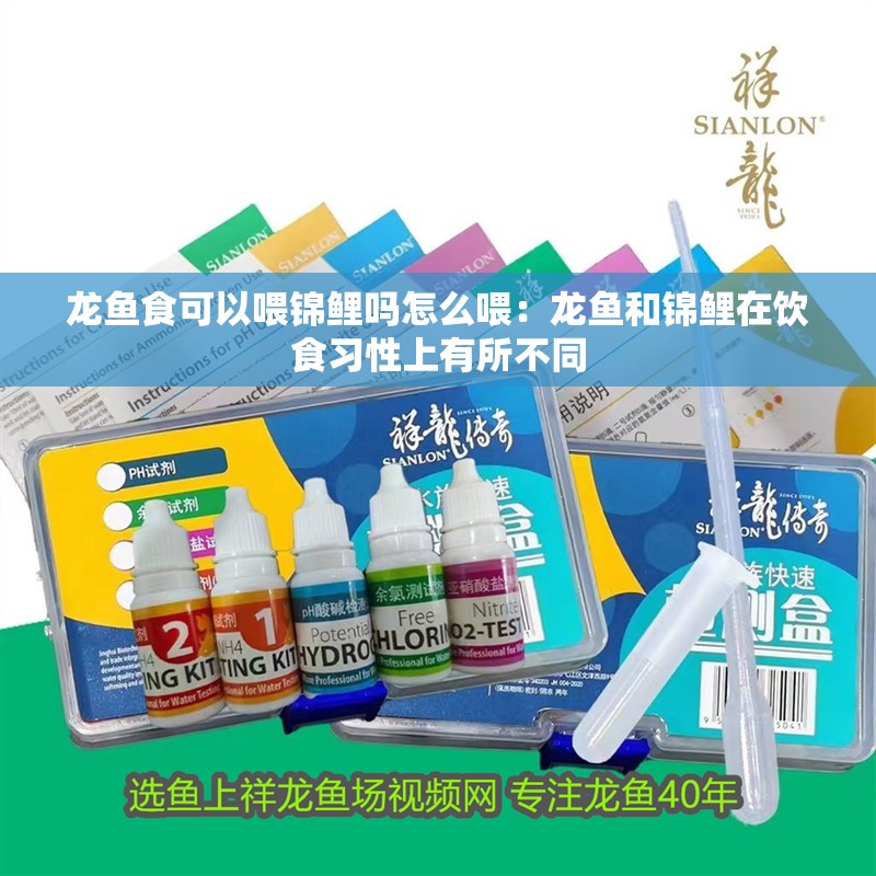 龍魚食可以喂錦鯉嗎怎么喂：龍魚和錦鯉在飲食習(xí)性上有所不同