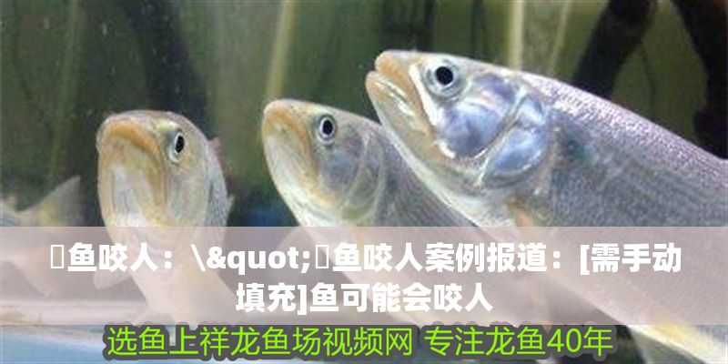 魟魚咬人：\"魟魚咬人案例報道：[需手動填充]魚可能會咬人