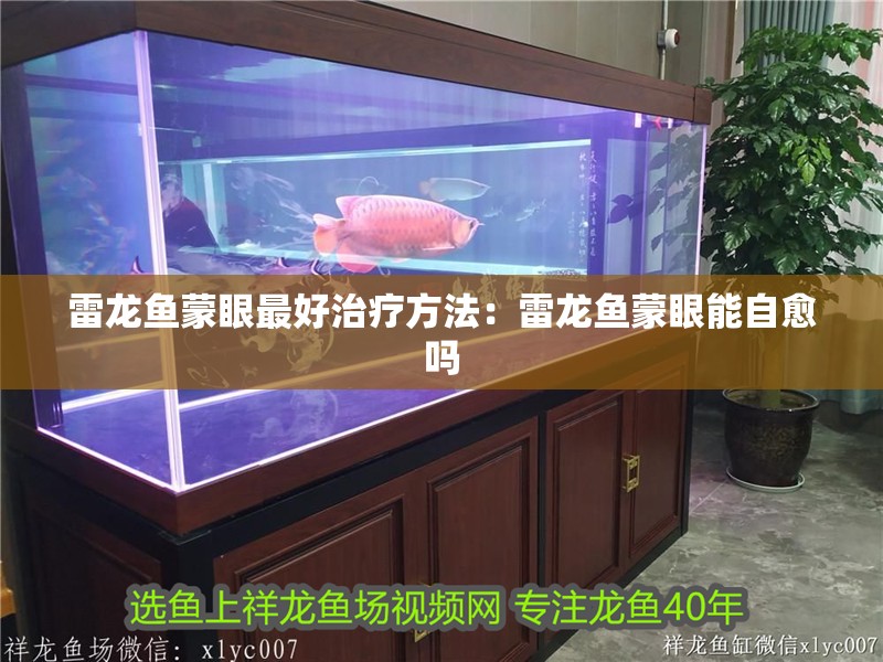 雷龍魚蒙眼最好治療方法：雷龍魚蒙眼能自愈嗎 雷龍魚蒙眼最好治療方法：雷龍魚蒙眼能自愈嗎 水族問答