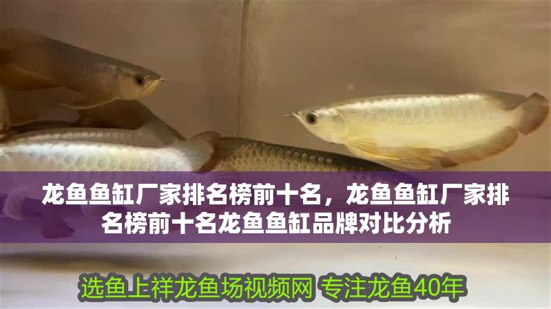 龍魚魚缸廠家排名榜前十名，龍魚魚缸廠家排名榜前十名龍魚魚缸品牌對比分析
