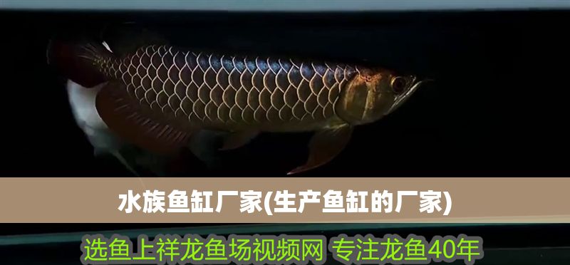水族魚缸廠家(生產魚缸的廠家)