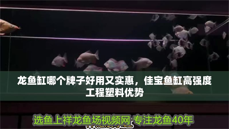 龍魚缸哪個牌子好用又實惠，佳寶魚缸高強度工程塑料優勢
