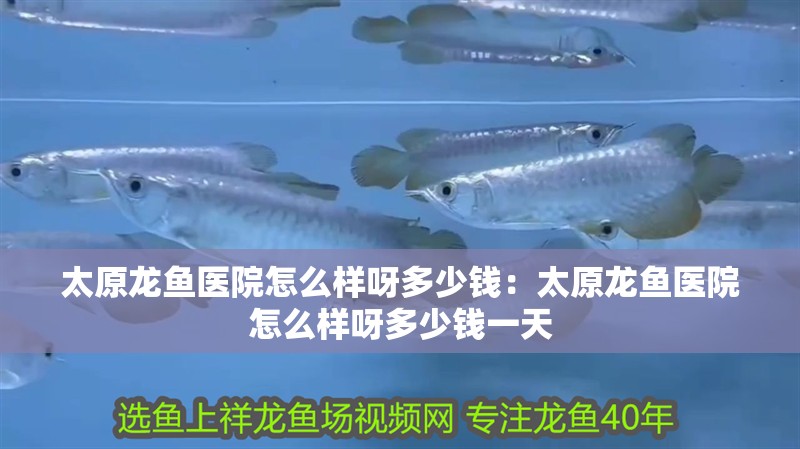 太原龍魚醫(yī)院怎么樣呀多少錢：太原龍魚醫(yī)院怎么樣呀多少錢一天