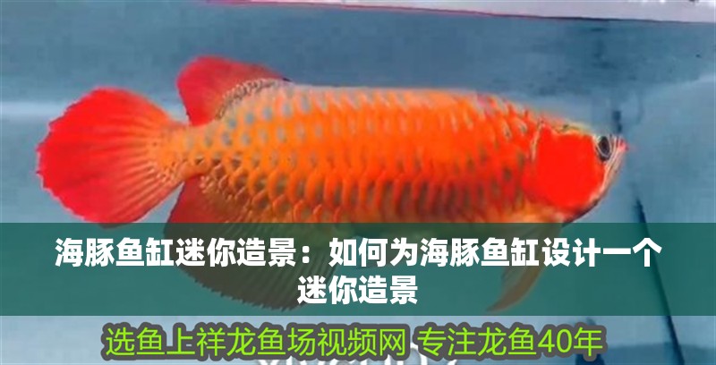 海豚魚缸迷你造景：如何為海豚魚缸設計一個迷你造景