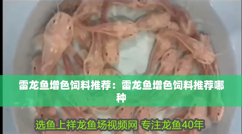 雷龍魚增色飼料推薦：雷龍魚增色飼料推薦哪種