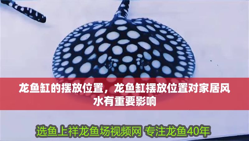 龍魚缸的擺放位置，龍魚缸擺放位置對(duì)家居風(fēng)水有重要影響