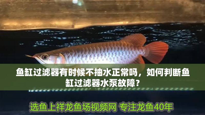 魚缸過濾器有時候不抽水正常嗎，如何判斷魚缸過濾器水泵故障？