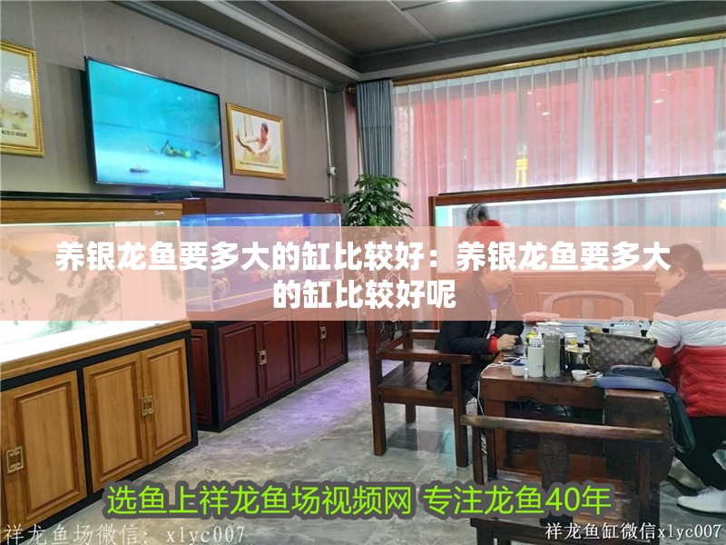 養銀龍魚要多大的缸比較好：養銀龍魚要多大的缸比較好呢