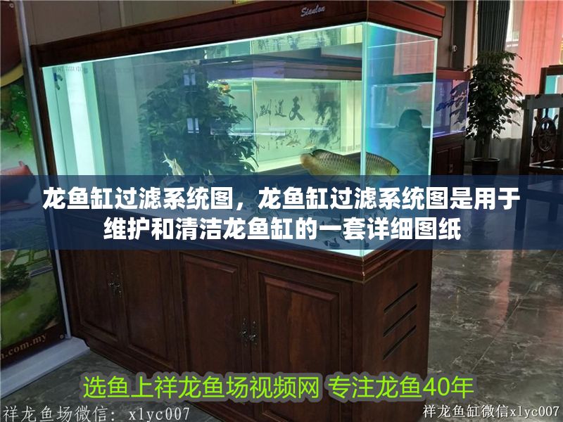 龍魚缸過濾系統圖，龍魚缸過濾系統圖是用于維護和清潔龍魚缸的一套詳細圖紙