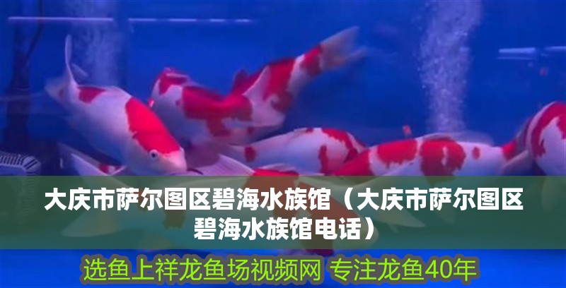 大慶市薩爾圖區(qū)碧海水族館（大慶市薩爾圖區(qū)碧海水族館電話）