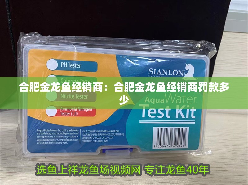 合肥金龍魚經銷商：合肥金龍魚經銷商罰款多少 合肥金龍魚經銷商：合肥金龍魚經銷商罰款多少 水族問答