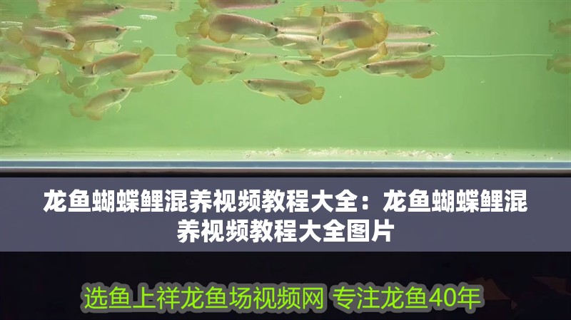 圓柱魚(yú)缸安裝方法圖解法（圓柱魚(yú)缸安裝方法圖解法視頻）