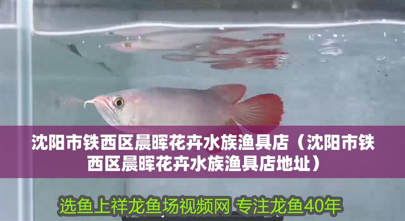 沈陽市鐵西區晨暉花卉水族漁具店（沈陽市鐵西區晨暉花卉水族漁具店地址）