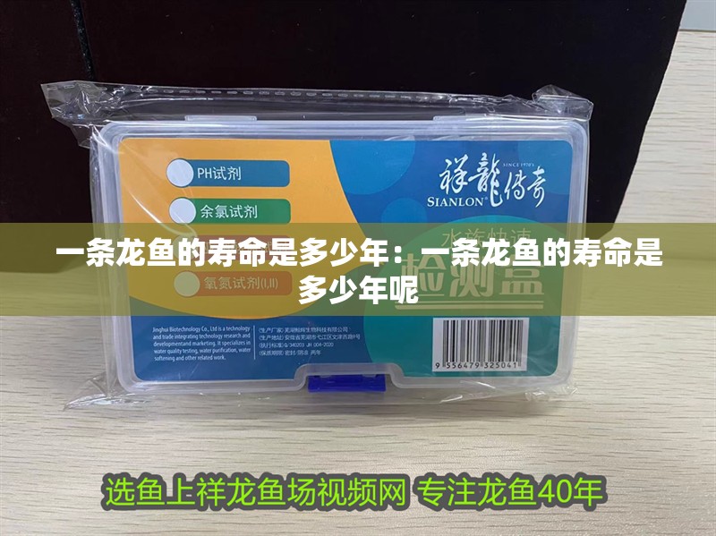 一條龍魚的壽命是多少年：一條龍魚的壽命是多少年呢