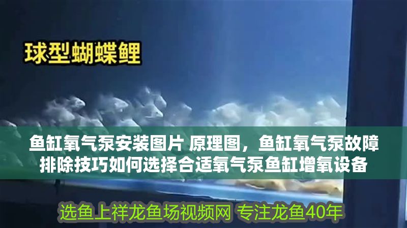 魚缸氧氣泵安裝圖片 原理圖，魚缸氧氣泵故障排除技巧如何選擇合適氧氣泵魚缸增氧設備