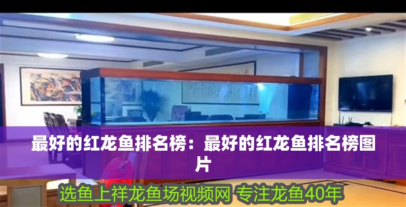 最好的紅龍魚排名榜：最好的紅龍魚排名榜圖片