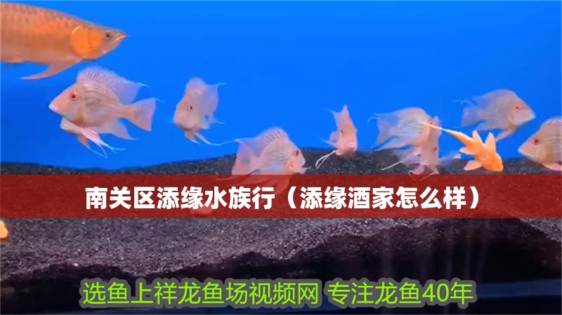 南關區(qū)添緣水族行（添緣酒家怎么樣）